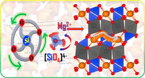 Correlated Mg-Ion and Electron Transport in Polyanionic Co and Ni Silicate Electrodes: A Paddle Wheel-like Rotation-Induced Process