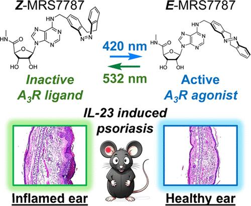 Photoswitchable Diazocine Derivative for Adenosine A3 Receptor Activation in Psoriasis