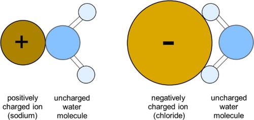Role of Counterion in the Adsorption of Ionic Amphiphiles at Fluid Interfaces