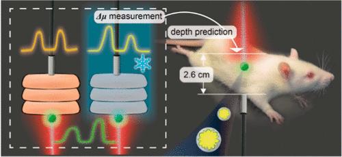 In Vivo Surface-Enhanced Transmission Raman Spectroscopy and Impact of Frozen Biological Tissues on Lesion Depth Prediction