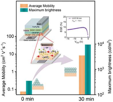 UV/Ozone-Induced Interface Engineering for High-Performance Horizontal Organic Light-Emitting Transistors Operating at Low Voltage