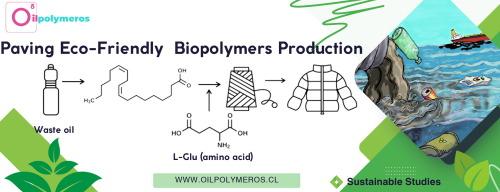 Amino acids as eco-friendly bio-organocatalysts in ROCOP for the preparation of biobased oligomers from fatty acid epoxides and waste sunflower oil