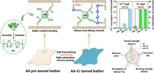 Green Salt-Free High-Exhaustion Chrome Tanning Strategy: Biomass-Derived Aldehyde Acid–Chrome Tanning