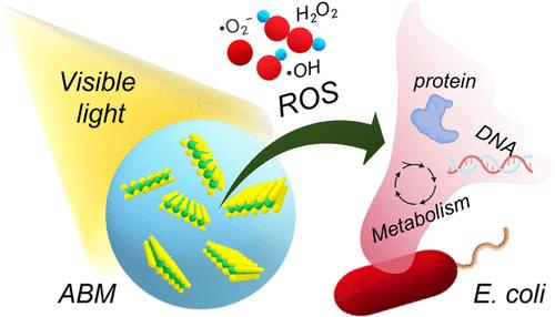 Persistent Photoinduced Antibacterial Activity of MoS<sub>2</sub> Nanosheets Immobilized in Porous Polymer Beads.
