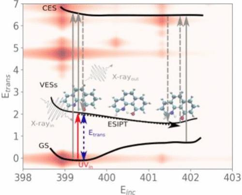 Capturing Coupled Structural and Electronic Motions During Excited-State Intramolecular Proton Transfer via Computational Multiedge Resonant Inelastic X-ray Scattering