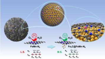 Tuning Fe spin state in heteronuclear FeMn-N6 double-site shell by Fe3C core to boost oxygen reduction reaction