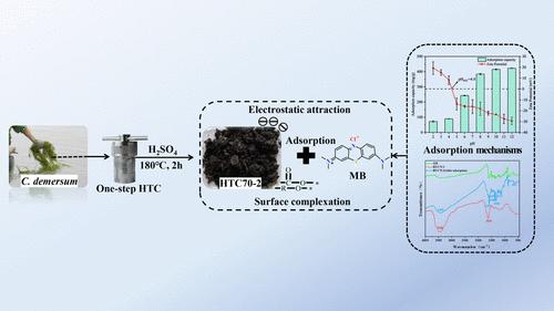 One-Step Hydrothermal Carbonization of Ceratophyllum demersum under Acidic Conditions for Preparation of High-Performance Adsorbents