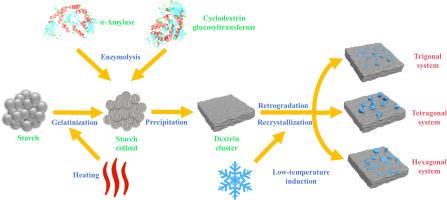 Gem-like starch granules engineered with different crystalline starches