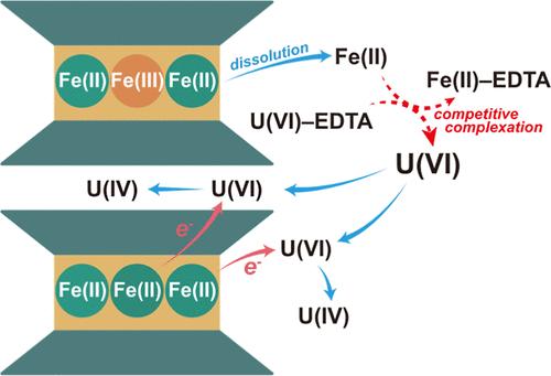 Effects of EDTA and Bicarbonate on U(VI) Reduction by Reduced Nontronite