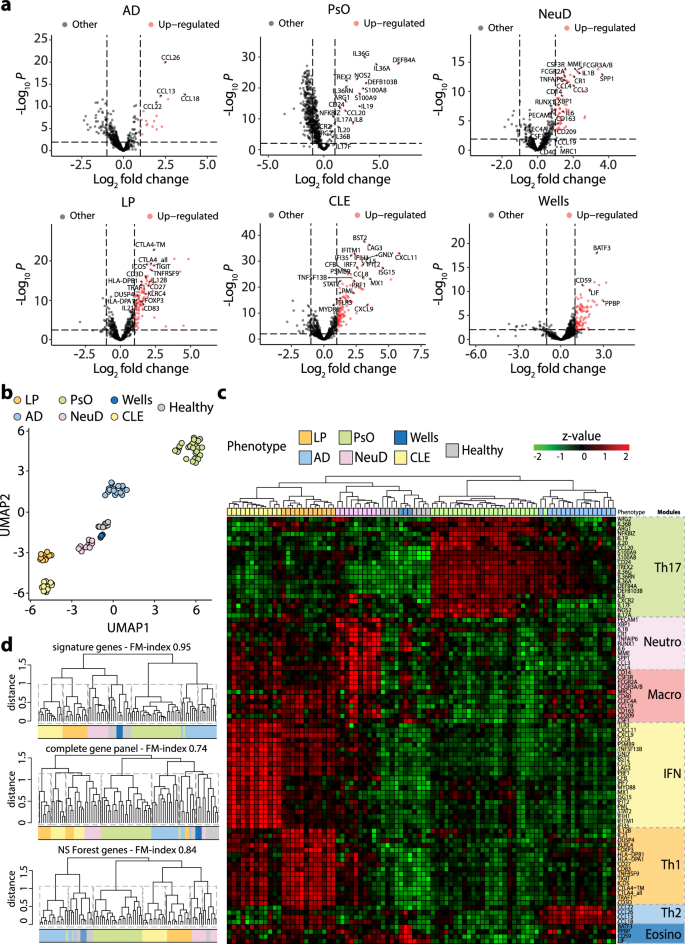 Immune modules to guide diagnosis and personalized treatment of inflammatory skin diseases