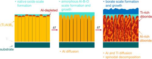 Passivating oxidation behavior of Ti0.12Al0.21B0.67 coatings investigated by scanning transmission electron microscopy and chemical environment dependent density functional theory simulations