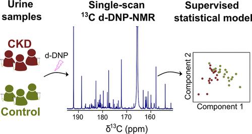 Hyperpolarized 13C NMR Metabolomics of Urine Samples at Natural Abundance Applied to Chronic Kidney Disease