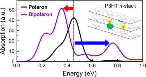 Spectral Signatures of Polarons and Bipolarons in P3HT: Single Chains vs π-Stacks