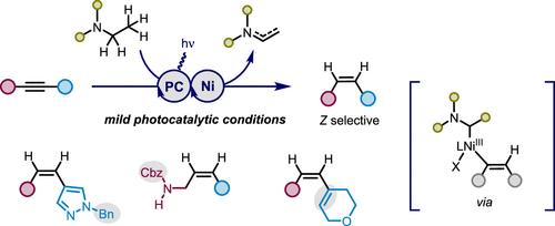 Nickel Photoredox/Dual-Catalyzed Transfer Semi-Hydrogenation of Alkynes via Aminoalkyl Nickel Species