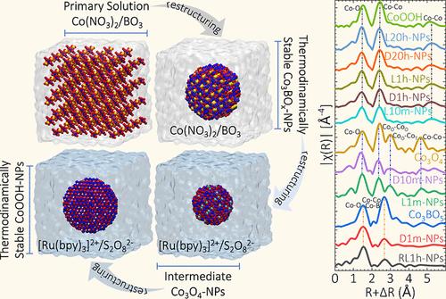 Structure-Selection Dynamics of Cobalt Nanoparticles from Solution Synthesis and Their Impact on the Oxygen Evolution Reaction