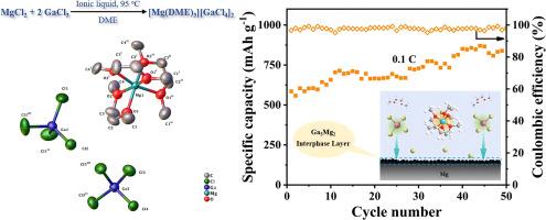 Ga5Mg2 alloy solid electrolyte interphase in-situ formed in [Mg(DME)3][GaCl4]2/PYR14TFSI/DME electrolyte enables high-performance rechargeable magnesium batteries