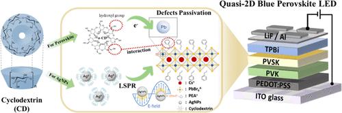 Realizing Highly Stable Quasi-2D Blue Perovskite Light-Emitting Diodes Using Energy Cascades Generated by Biomolecule-Derived Plasmonic Nanostructures