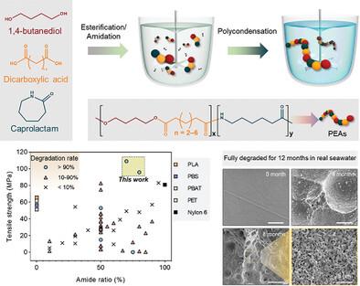 Development of Marine-Degradable Poly(Ester Amide)s with Strong, Up-Scalable, and Up-Cyclable Performance