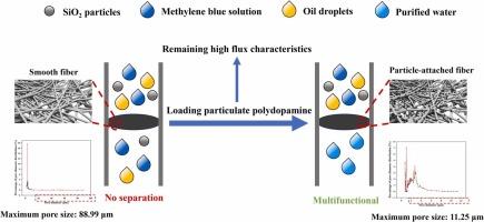 One-step fabrication of cellulose nanofibrous membrane with anchored particulate polydopamine for multifunctional oil/water separation