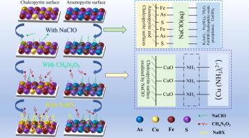 Study on the mechanism of ammonium carbamate in promoting the separation of chalcopyrite and arsenopyrite in oxidation systems