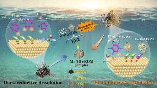 Reductive Dissolution Mechanisms of Manganese Oxide Mediated by Algal Extracellular Organic Matter and the Effects on 17α-Ethinylestradiol Removal