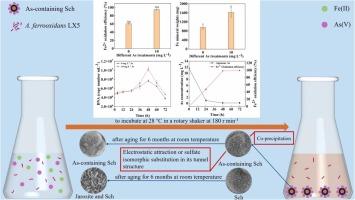 Biogenic iron mineral formation and the fate of arsenic driven by its coupling with ferrous iron in acid mine drainage environment