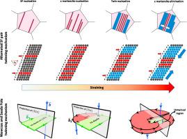 Activation of different twinning mechanisms and their contributions to mechanical behavior of a face-centered cubic Co-based high-entropy alloy