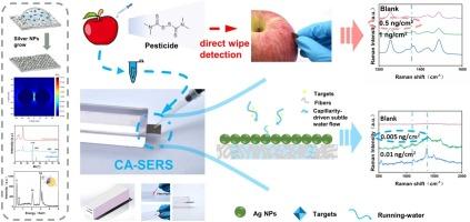 Simple and rapid capillarity-assisted ultra-trace detection of thiram on apple surface with a silver nanoparticles/filter paper SERS substrate