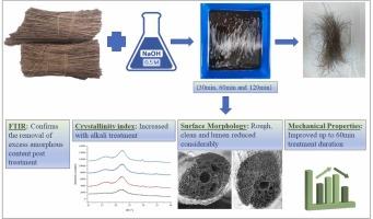 Influence of alkali treatment on physiochemical and morphological properties of palmyra fibers