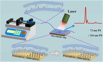 Size-dependent selectivity and quantification on detecting PS nanoplastics particles in a mixed solution with different diameters by using periodic Ag nanocavities SERS substrates with high sensitivity