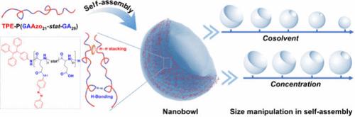 Biodegradable Nanobowls with Controlled Dents