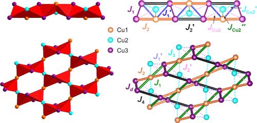 Assembling the Puzzle of Coparsite Polymorphism: Synthesis, Thermal Expansion, and Quantum Magnetism of α- and β-Cu4O2(VO4)Cl