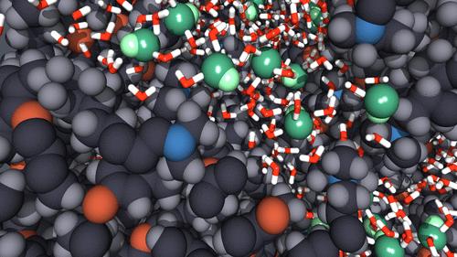 Investigating the Influence of the Spacer Length on Anion-Exchange Membrane Properties Using a Reactive Molecular Model