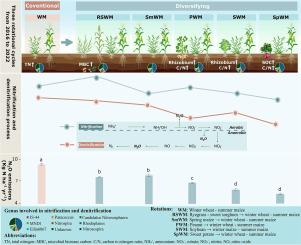 Reductions in nitrous oxide emissions in diverse crop rotations linked to changes in prokaryotic community structure