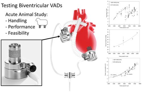 Two Coupled Continuous-Flow Ventricular Assist Devices as a Novel BIVAD With One Driveline: Acute Animal Study Results