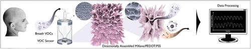 PEDOT:PSS-Facilitated Directionally 3-D Assembled MXene-Based Aerogel for High-Performance Chemoresistive Sensing & Breath Analysis