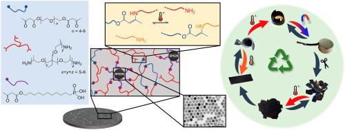 Superparamagnetic iron oxide nanoparticle – vitrimer nanocomposites: Reprocessable and multi-responsive materials