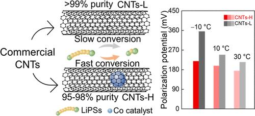 Trace Metal Impurities Induce Differences in Lithium-Sulfur Batteries.