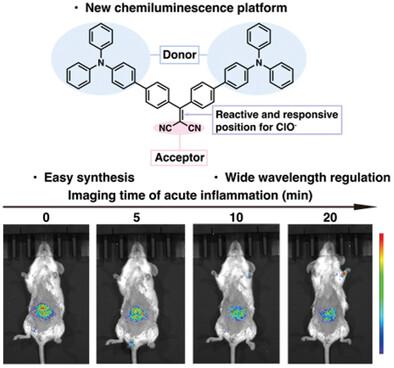 HClO-Activated Near-Infrared Chemiluminescent Probes with a Malononitrile Group for In-Vivo Imaging