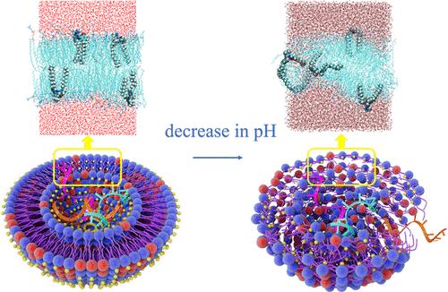Molecular Dynamics Simulation on the Conformational Change of a pH-Switchable Lipid