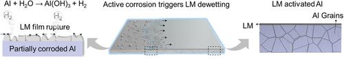 Active Corrosion Triggered Liquid Metal Dewetting