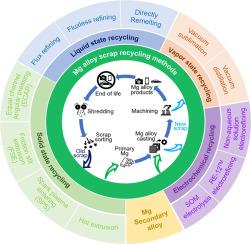 Progress and prospects in magnesium alloy scrap recycling