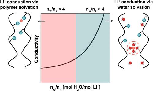 Influence of Water Sorption on Ionic Conductivity in Polyether Electrolytes at Low Hydration