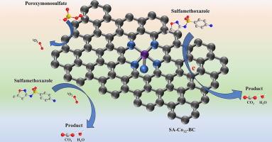 Construction of biochar supported single cobalt atom catalysts from coffee grounds on peroxymonosulfate activation for sulfamethoxazole degradation