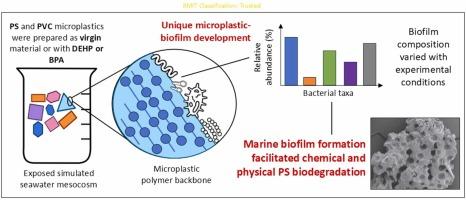 Biofilm development as a factor driving the degradation of plasticised marine microplastics
