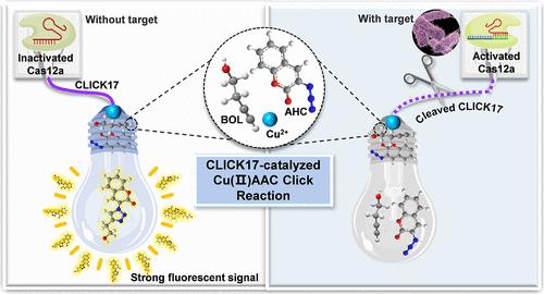 CRISPR/Cas System Meets CLICK-17 DNAzyme: A Click Chemistry-Based Fluorescence Biosensing Platform Designed for Highly Sensitive Detection of Salmonella