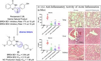 Marine natural product-inspired discovery of novel BRD4 inhibitors with anti-inflammatory activity