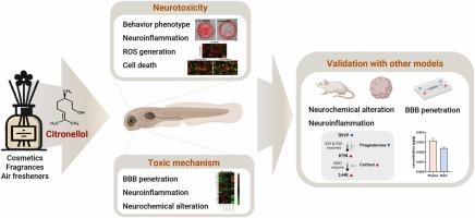 Neurotoxic effects of citronellol induced by the conversion of kynurenine to 3-hydroxykynurenine