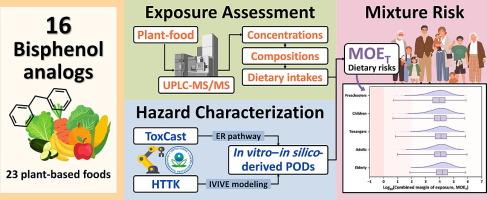 Concentrations, composition profiles, and in vitro–in silico-based mixture risk assessment of bisphenol A and its analogs in plant-based foods