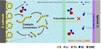 Enhancing reaction kinetics and stabilizing lithium deposition in lithium-sulfur batteries with an FeBr2DME additive